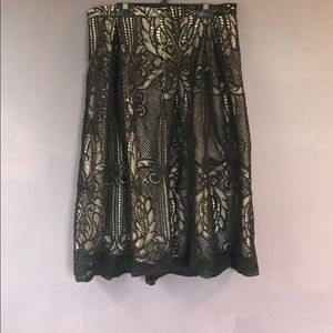 Lace Francesca’s Brand Skirt